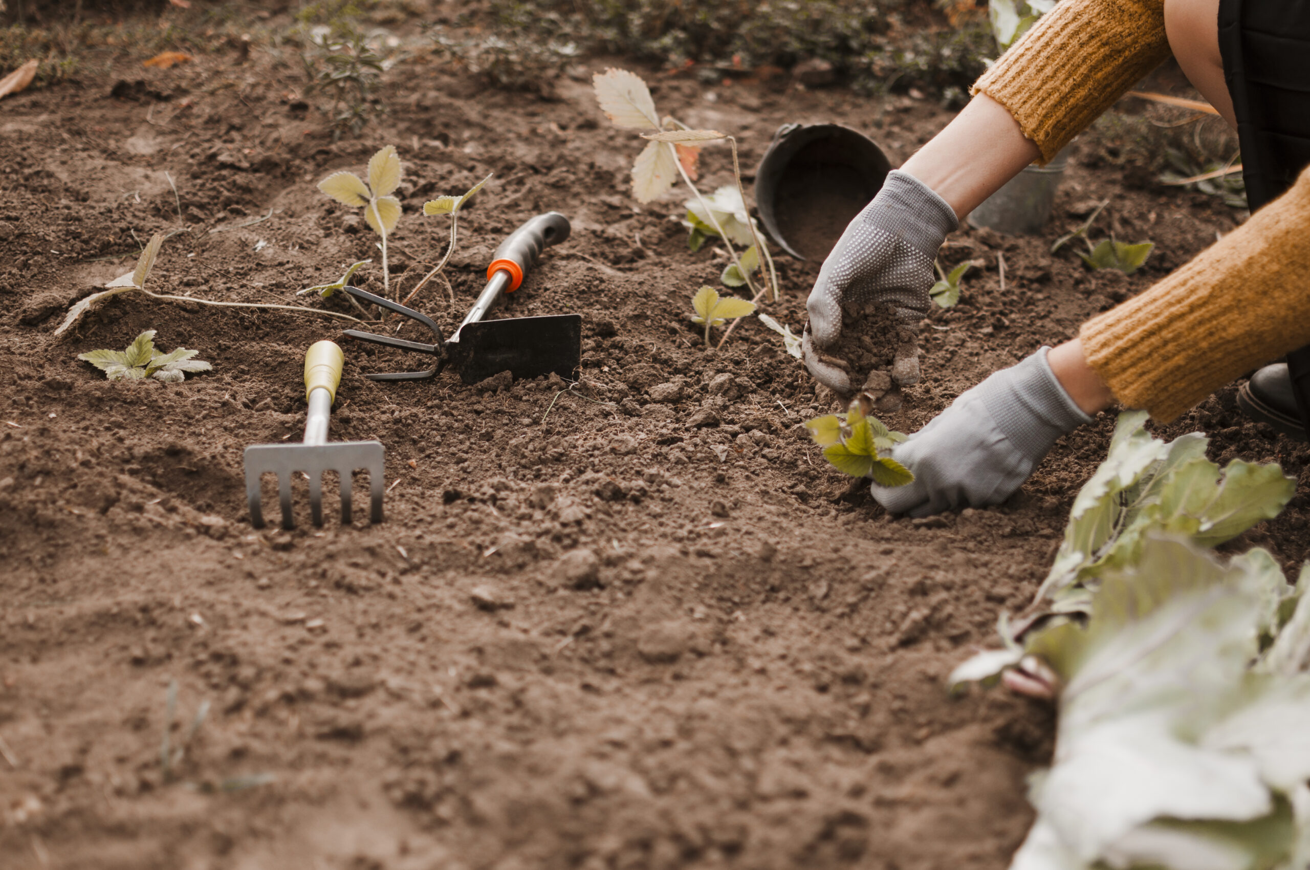 Rebrot Coop – Júlia i Maria (Segarra)